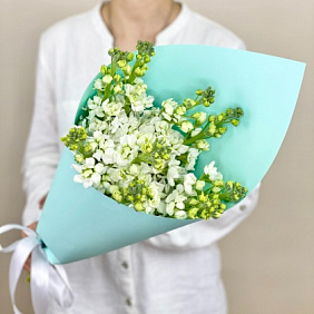 Букет Белая маттиола