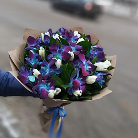 Дендробиум с тюльпанами