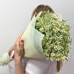 Шикарный букет из ромашек