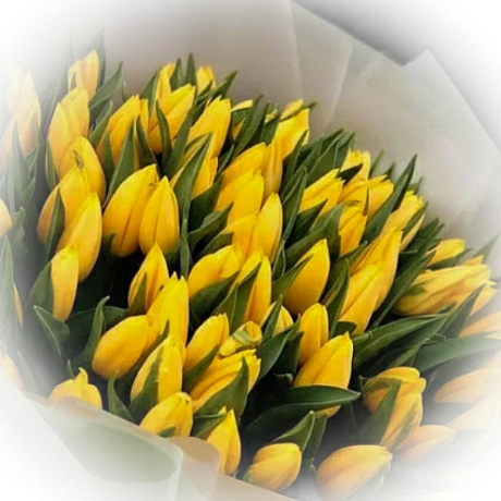Букет из тюльпанов №173 - Фото 1