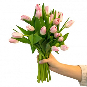 Букетик «19 тюльпанов»