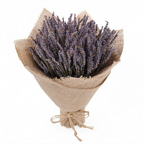 Букет лаванды №160