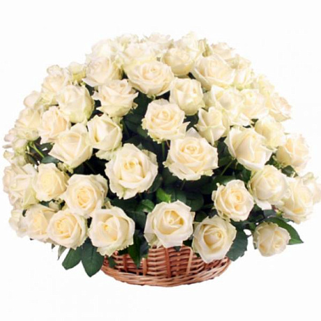 Букет из 85 белых роз в корзине - Фото 1