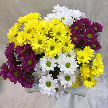 Букет цветов Ромашковое поле №171 - Фото 1