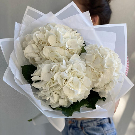 Монобукет Гортензия №161 - Фото 1