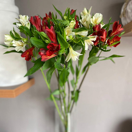 Букет цветов Альстромерия №166 - Фото 1