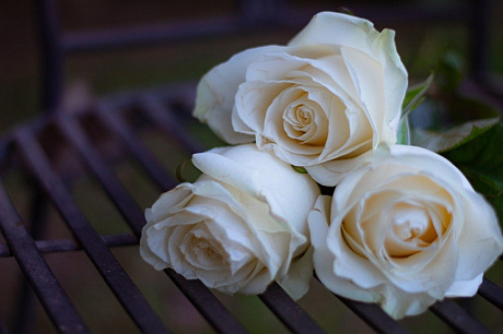Букет из 3 белых роз - Фото 1