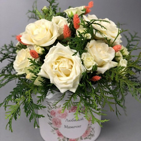 Цветы в коробке (Фаларис - 7 шт.)