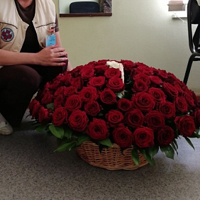 100 роз в корзине