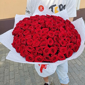 Букет из 101 розы №220