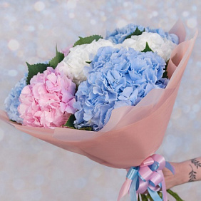 Букет цветов из 7 гортензий микс