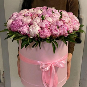 Композиция из 55 пионов в шляпной коробке