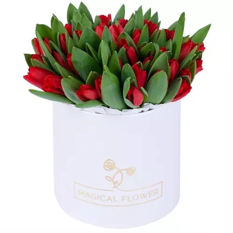 25 красных тюльпанов в белой коробке шкатулке с рафаэлло №451 - Фото 1