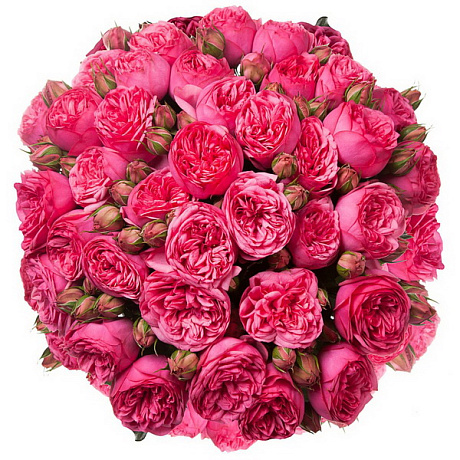 Букет из 29 пионовидных розы Пинк Пиано - Фото 1