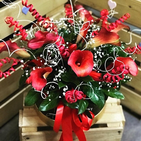 Красные Каллы в коробке №160