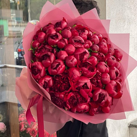 101 пион страсти