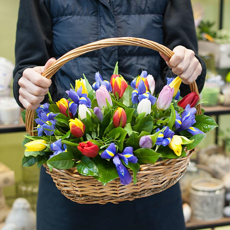 Корзина из разноцветных тюльпанов и ирисов За пол часа до весны - Фото 1