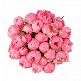 Коралловые пионы в шляпной средней коробке