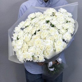 Диантус белый