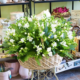 Корзина из белых фрезий (101 фрезия)