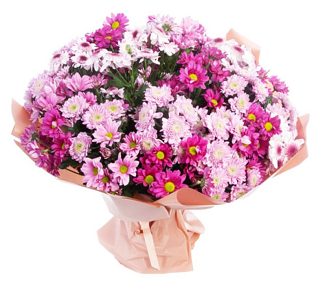 Букет из 25 розовых хризантем - Фото 1