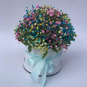 Цветы в коробке (гипсофила радужная)