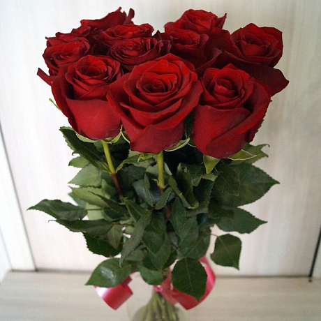 Роза эксплоер 11 шт №160 - Фото 1