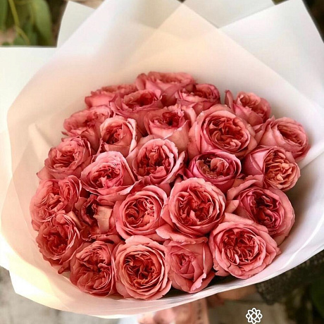 Пионовидная роза №165 - Фото 1