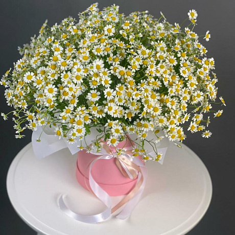 Букет Ромашки №181 - Фото 1