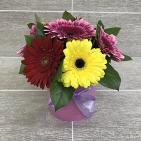 7 гербер в маленькой розовой шляпной коробке №681