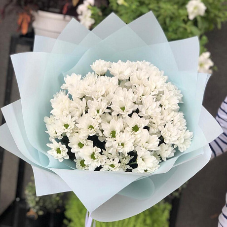 Монобукет из хризантем №164 - Фото 1