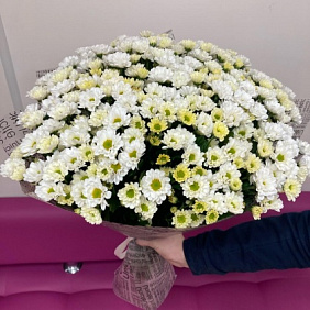 Сантини №165