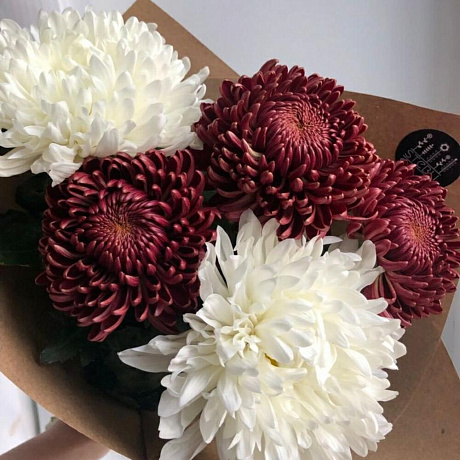 Букет из хризантемы №168 - Фото 1