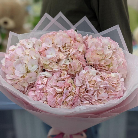 5 розовых гортензии - Фото 1