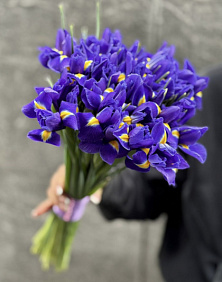 Букет из 15 ирисов