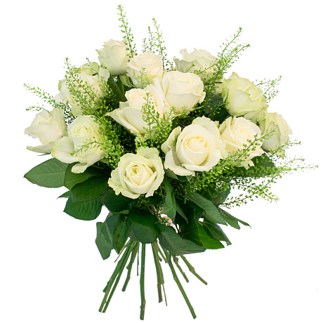Букет из 15 белых роз, тласпи и зелени - Фото 1