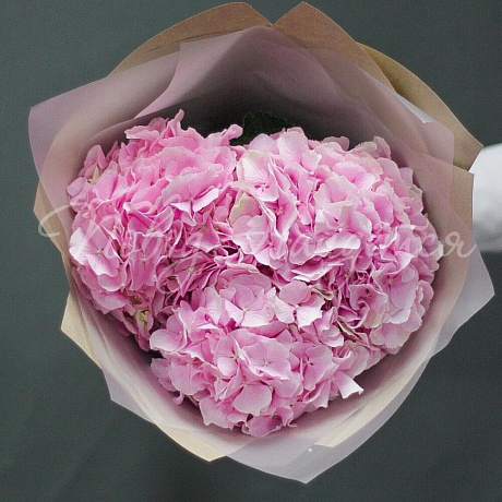 Букет Розовая Гортензия №170 - Фото 1