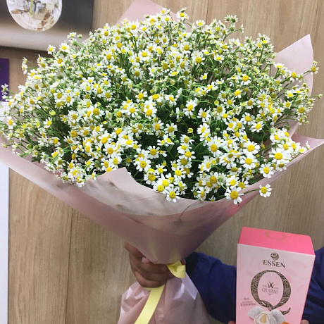 Букет ромашки с конфетами - Фото 1