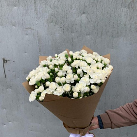 Гвоздика кустовая белая 51