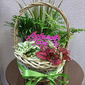 Корзина с цветами №530
