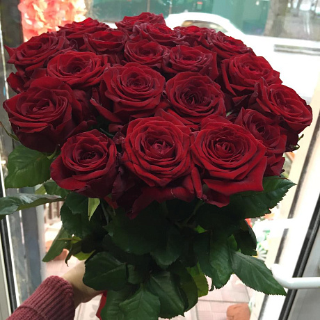 Букет из 19 бордовых роз №160 - Фото 1