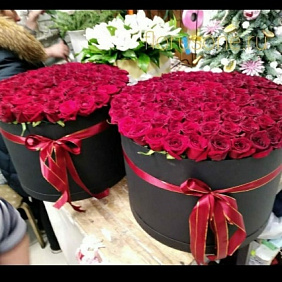 101 розы в коробке