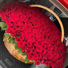 Корзина с 501 розой