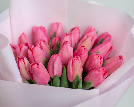 25 розовых тюльпанов в розовой маленькой шляпной коробке №527 - Фото 1