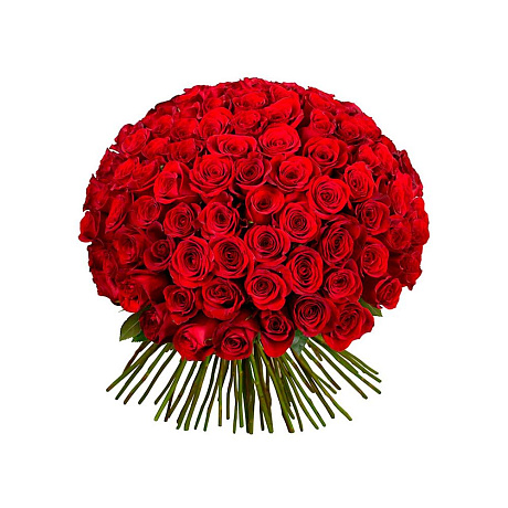 101 красная роза Фридом - Эквадор (50 см) - Фото 1