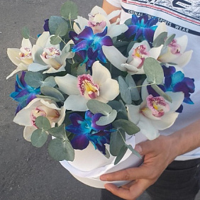 Орхидея в коробке