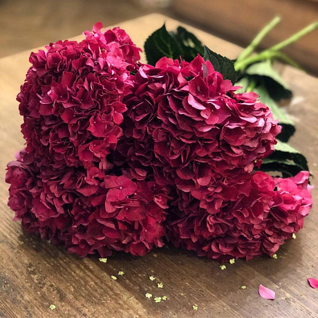 Букет цветов Гостья - Фото 1