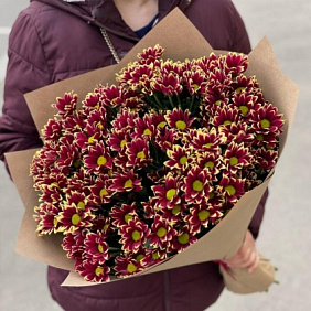 Букет из 15 бордовых кустовых хризантем