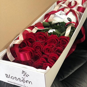 Букет из 25 роз в коробке №160