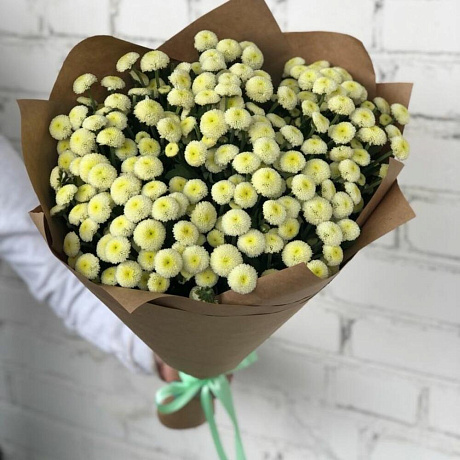 Букет цветов Гоу Гоу - Фото 1